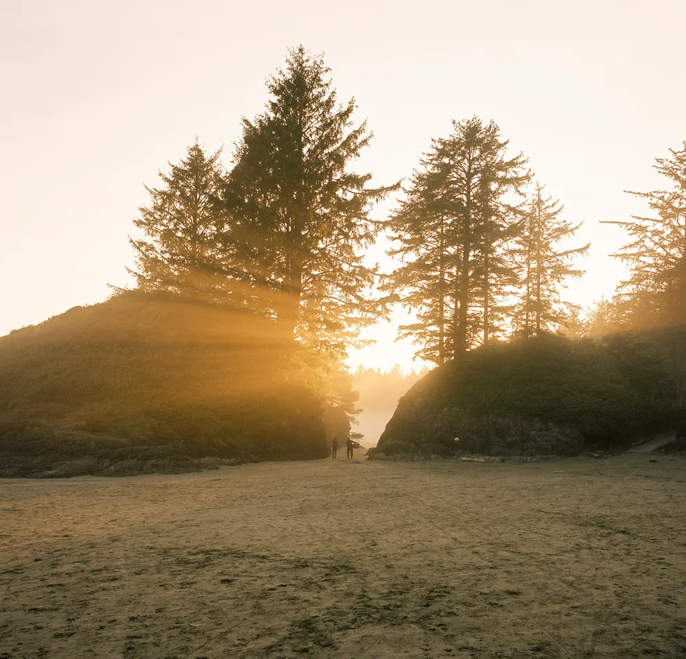 Film photograph, Tofino, BC