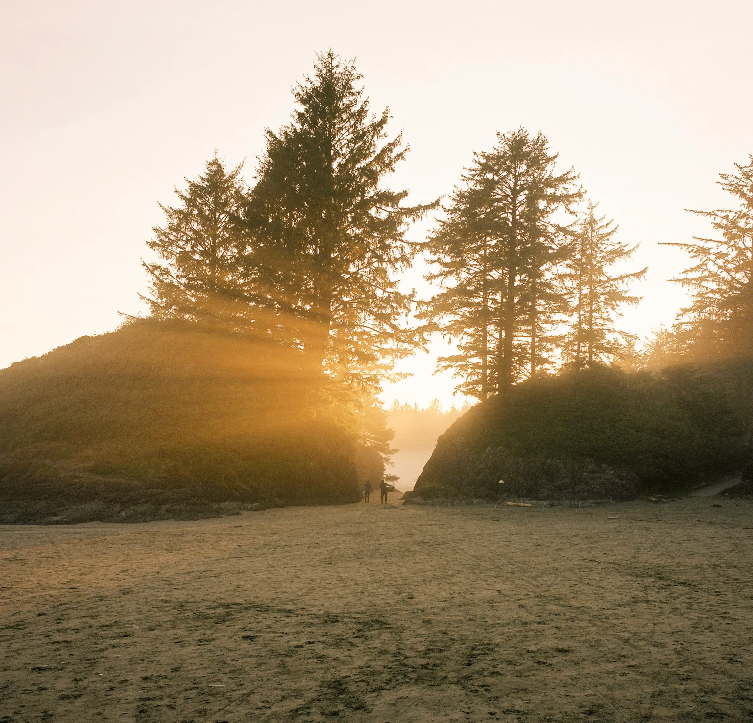 Film photograph, Tofino, BC