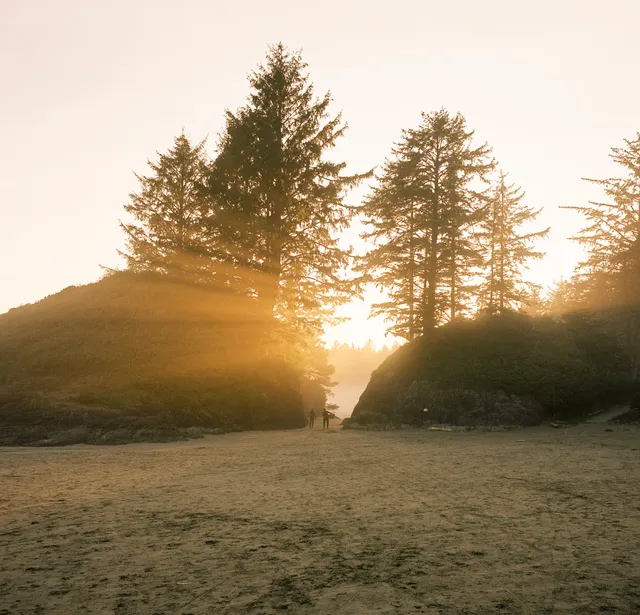 Film photograph, Tofino, BC
