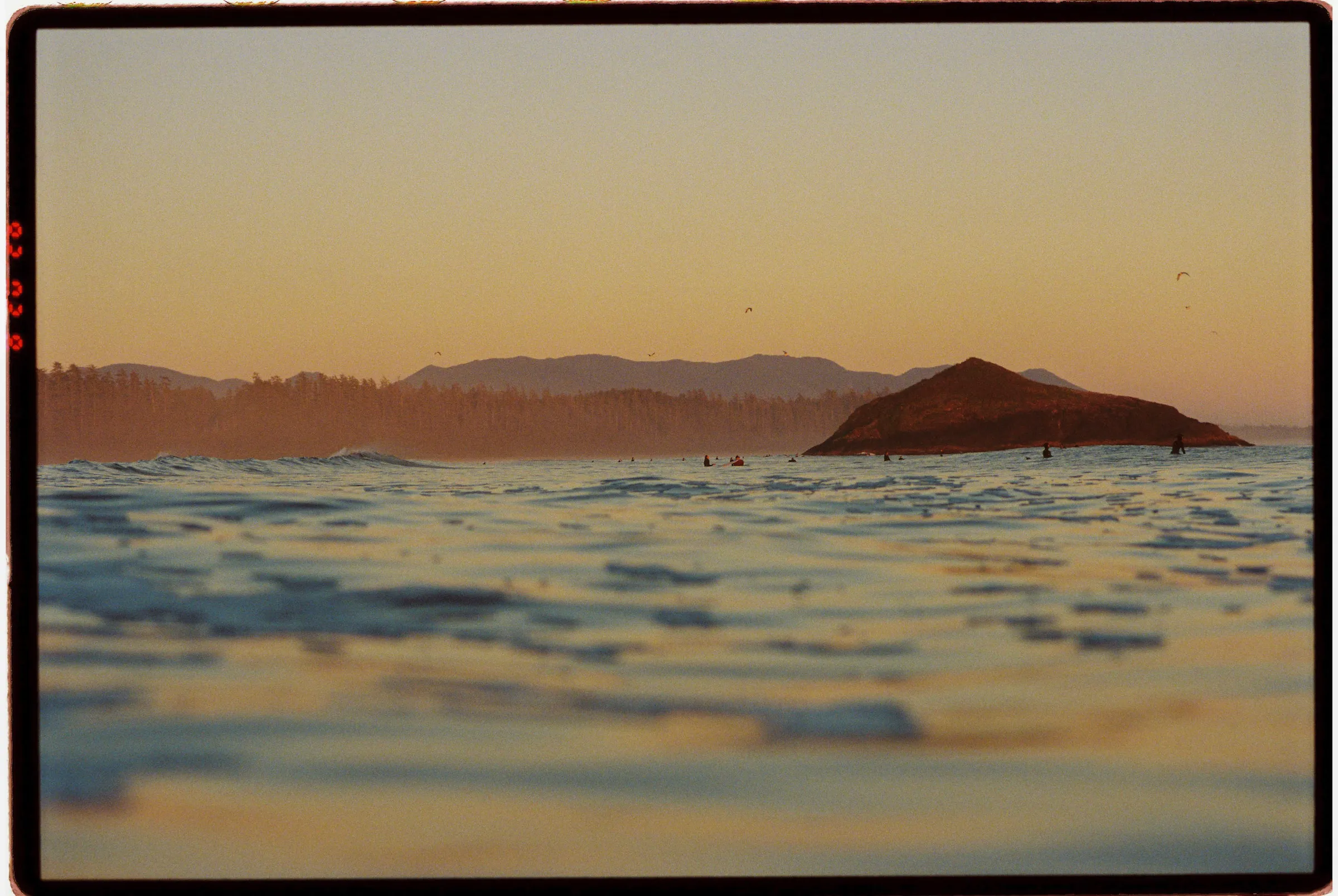 Film photograph, Tofino, BC