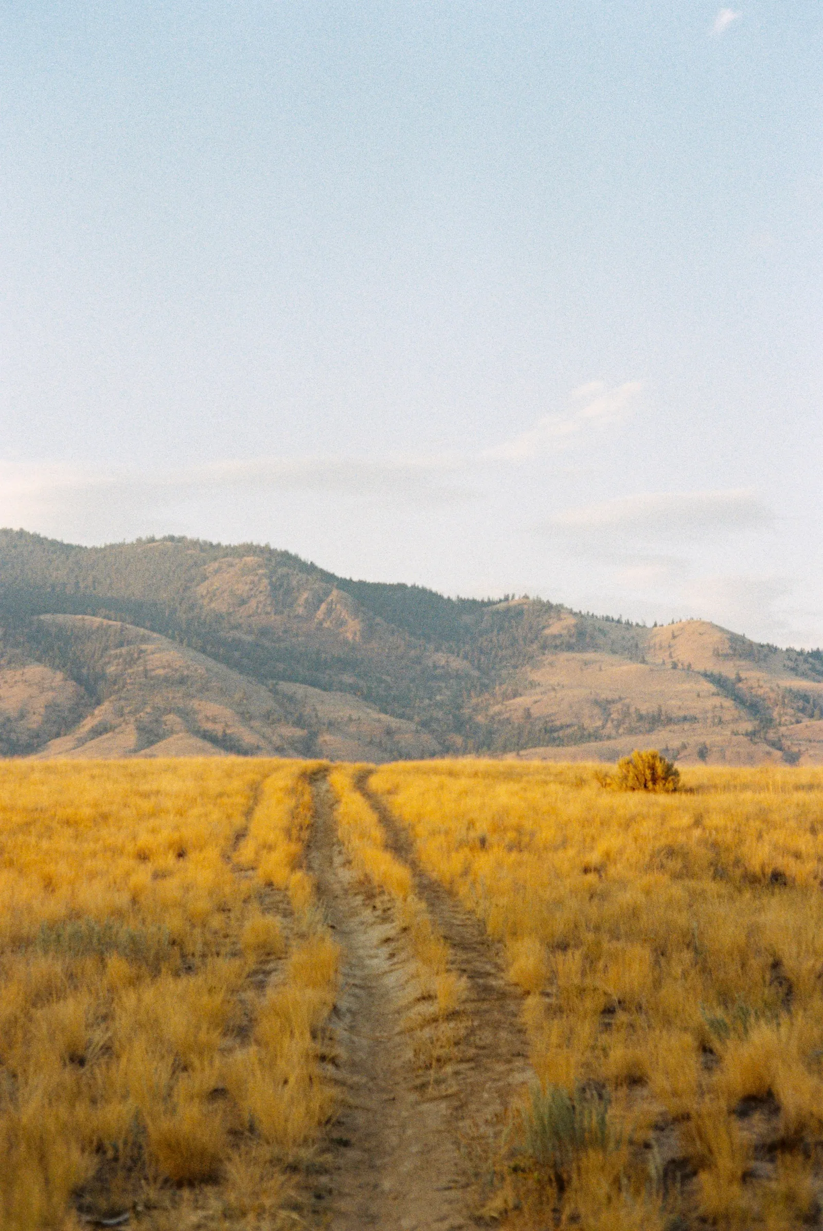 Film photograph, Kamloops, BC