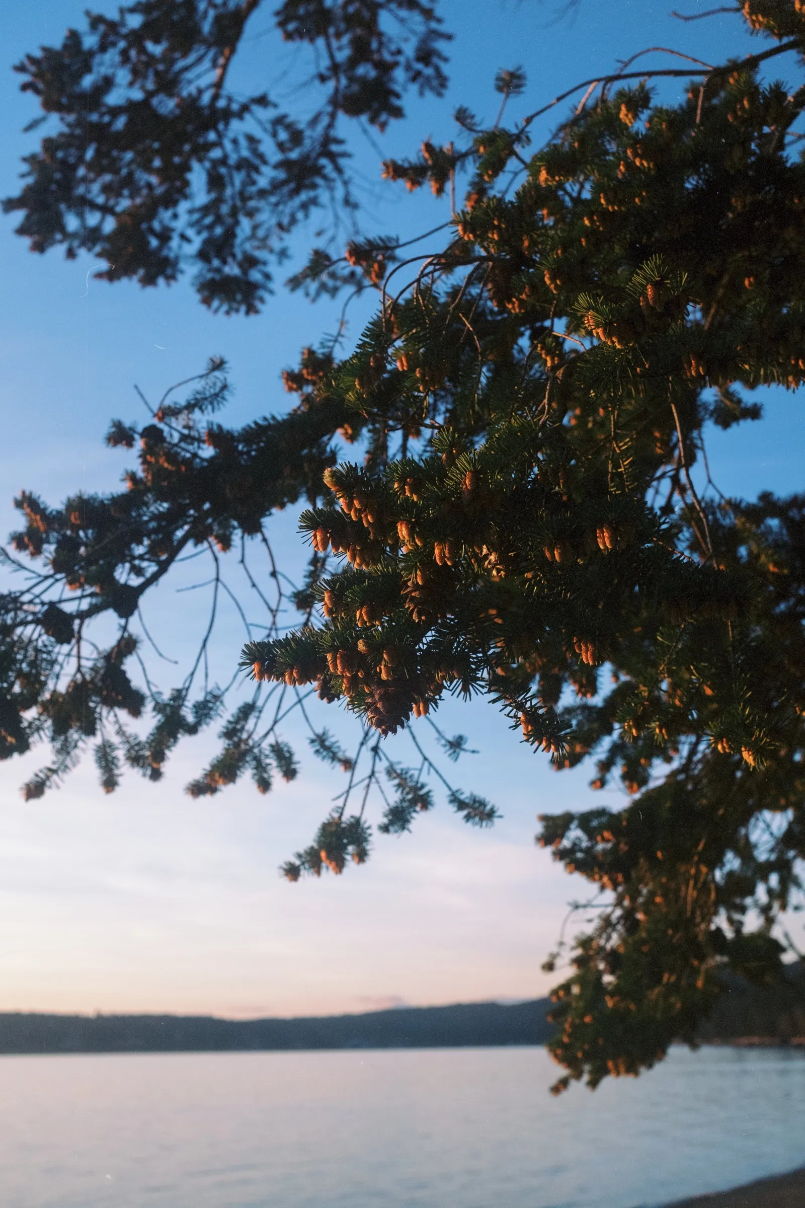 Texada Island: frame 69
